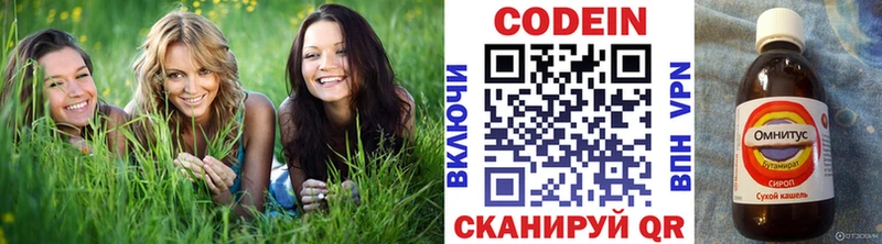 Купить закладки  Апрелевка  Кодеиновый сироп Lean напиток Lean (лин) 