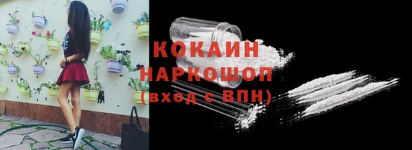 сатива Кинешма