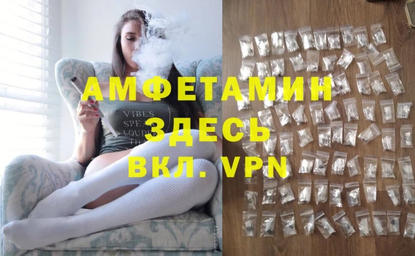 сатива Кинешма