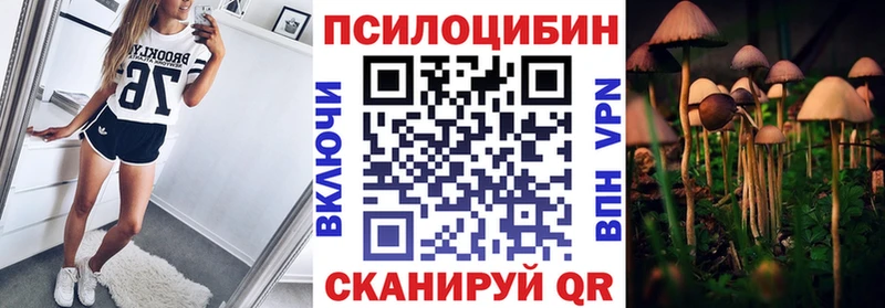 Галлюциногенные грибы Psilocybe  Купить  Апрелевка 